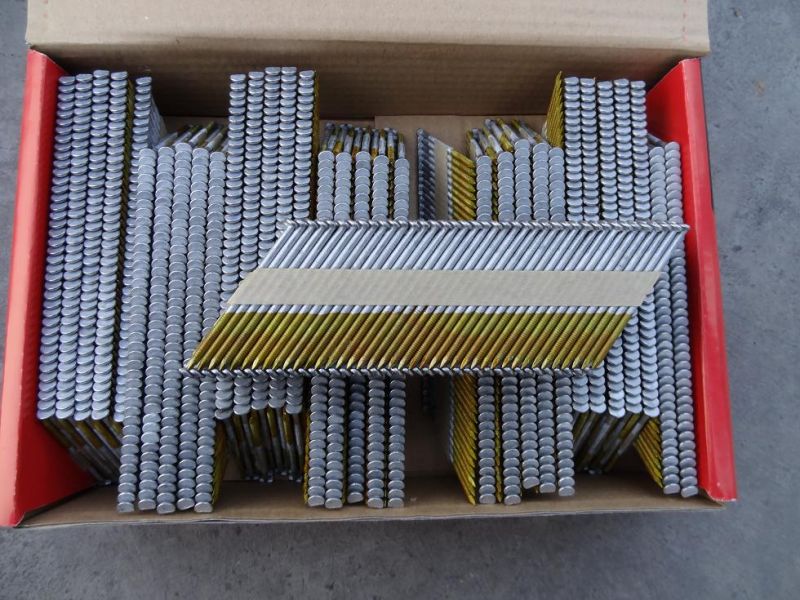Hot dip galvanized ring patterned half cap paper nail arrangement